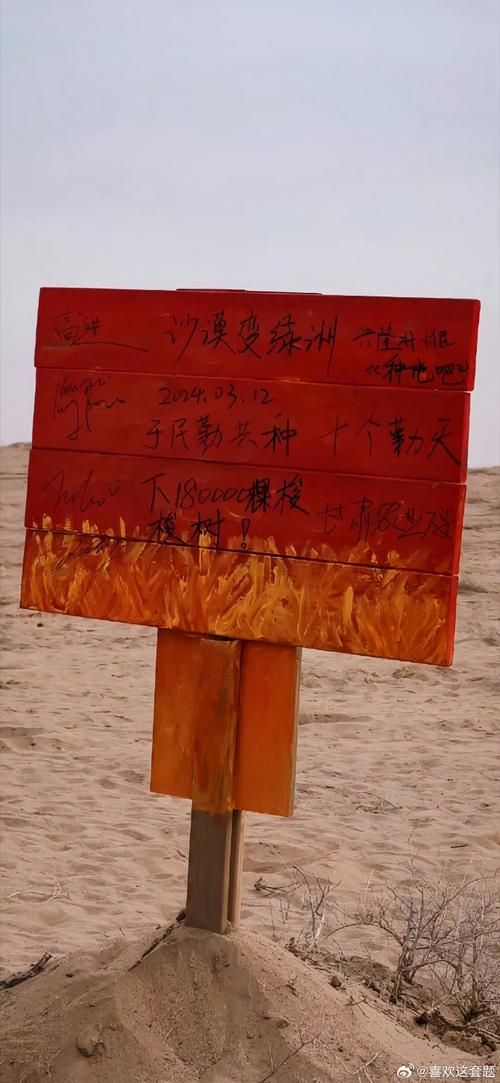 莎车绿洲的防疫坚守：塔里木盆地边缘的零感染记录