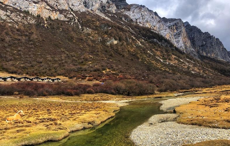 稻城县新增1例无症状感染者 稻城县疫情防控最新通报_71097