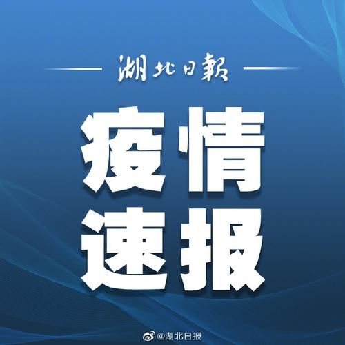 31省新增本土12例(31省新增本土0例)，汉阳区突发聚集疫情引关注