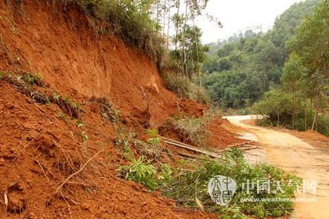 陆川：桂东南交通枢纽的疫情压力与物理防线