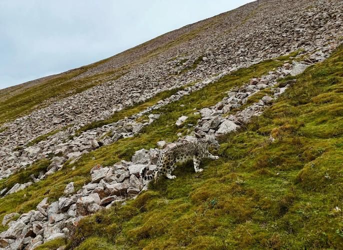 高原屏障下的零感染坚守：天峻县防疫地理学观察