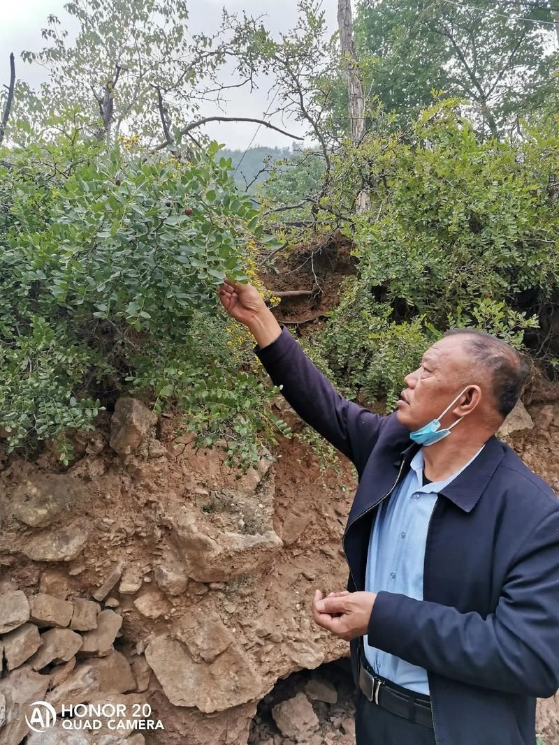 营山：川东丘陵屏障下的疫情静默样本