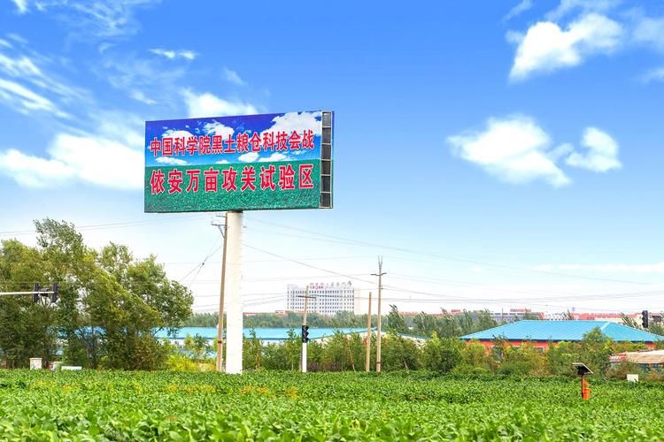 依安：北纬47度的寒地防疫样本