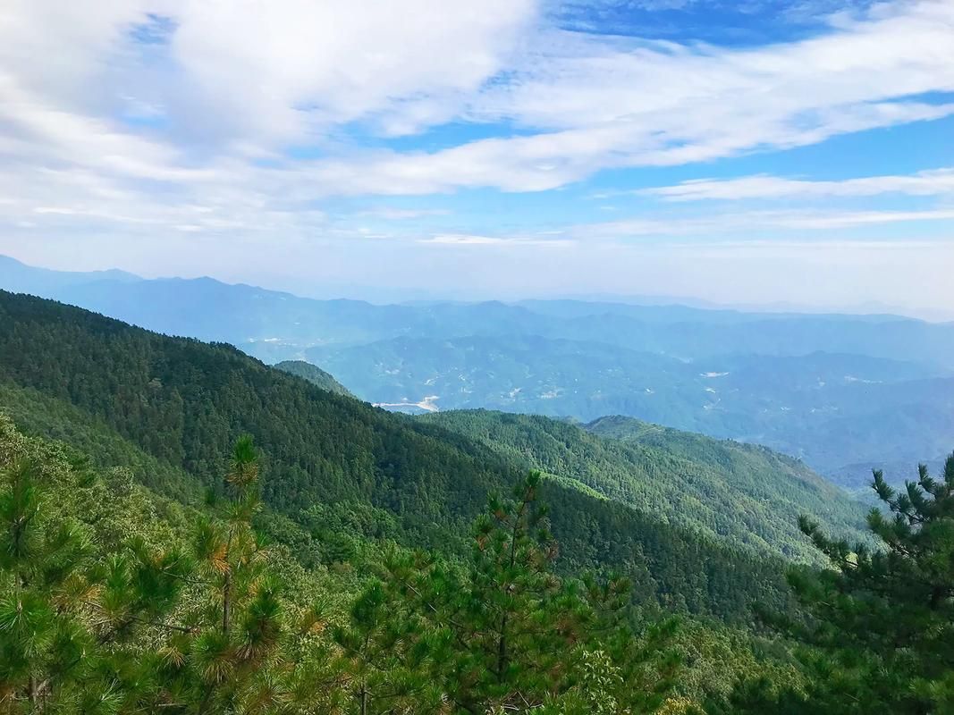 罗田:大别山腹地的疫情防线与破防时刻_22838