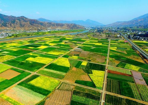 德昌：安宁河谷的防疫屏障与零星破防_75882