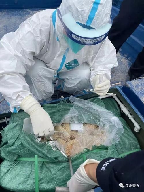 响水之畔的零感染记录：黄海湿地屏障下的防疫样本