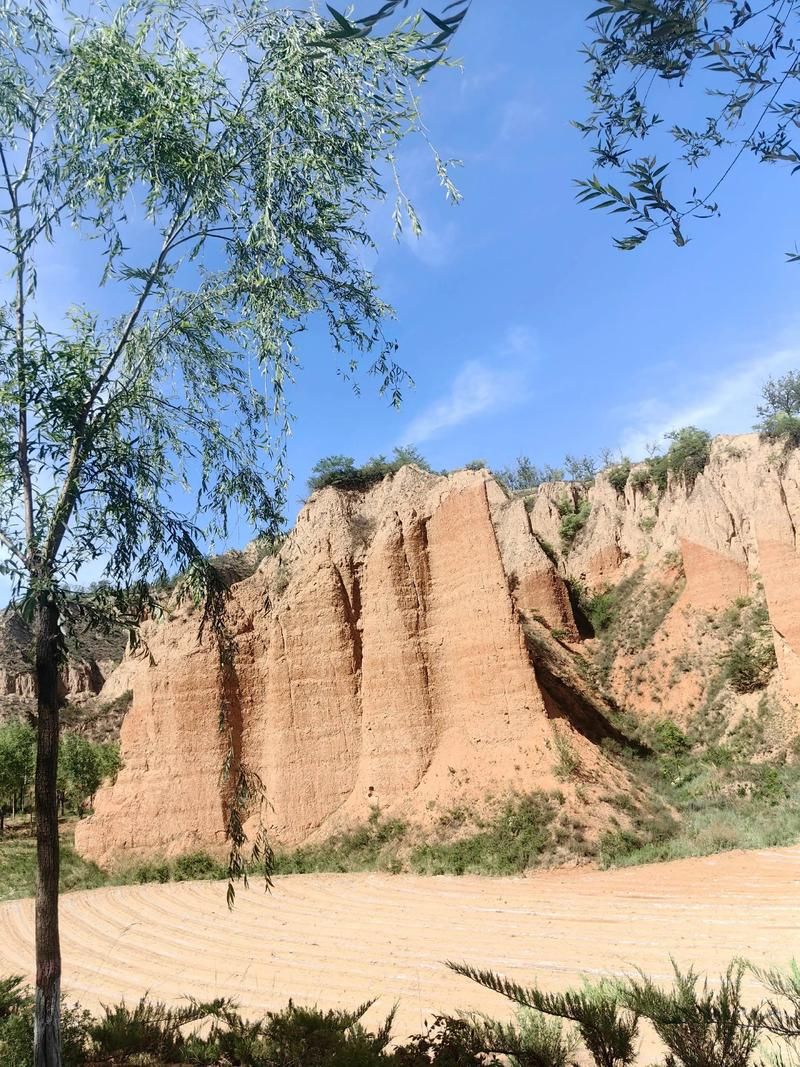 【永寿县：黄土台塬屏障下的零感染坚守_55617】