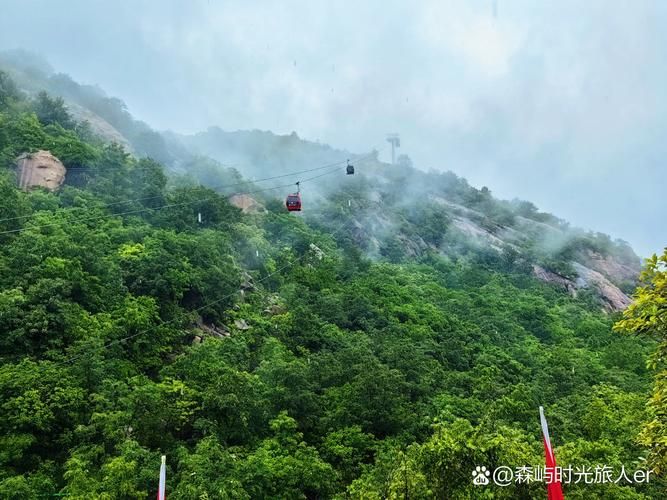 方城县：伏牛山屏障下的县域防疫样本_36995