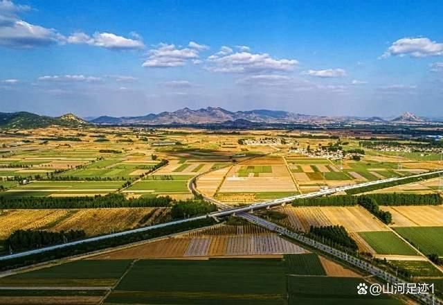 【东平疫情观察:鲁西平原上的防控节点】