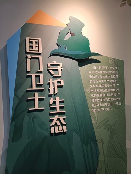 浮山屏障下的零感染坚守：地理优势如何铸就防疫孤岛？