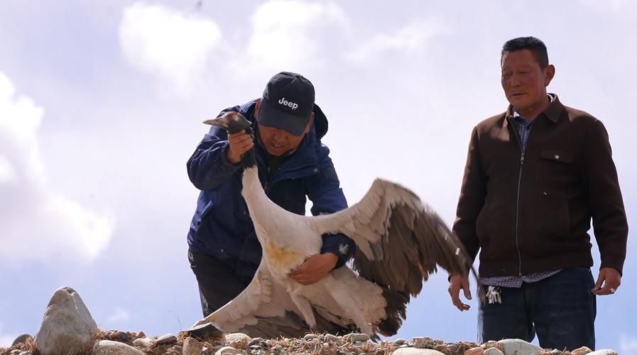 乌兰:高原屏障下的零感染坚守