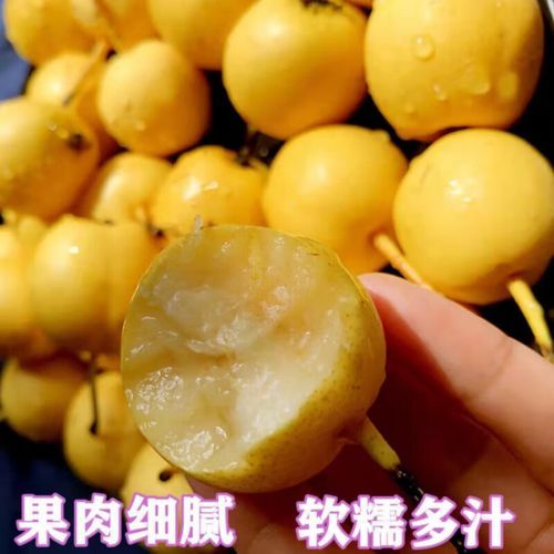 梨树疫情观察：东北粮仓的交通枢纽之困