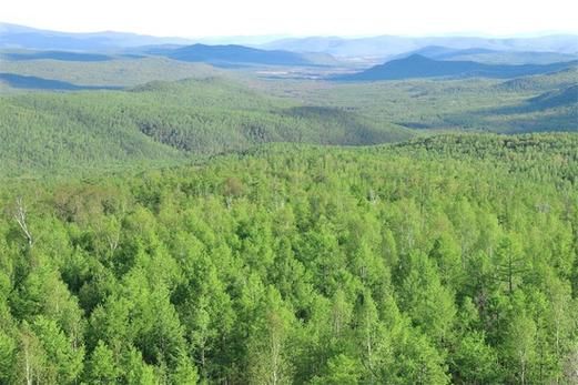 五营区零感染记录：高寒林海屏障下的防疫孤岛