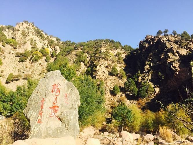 九原区：阴山屏障下的零感染坚守_34526