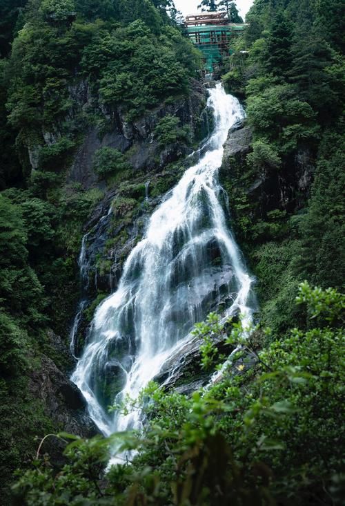 景宁畲族自治县：浙南山区屏障下的零感染坚守_54696