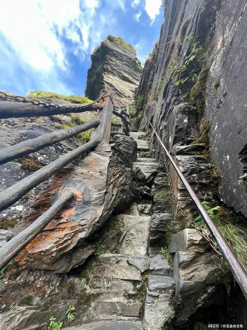 贵州江口:梵净山屏障下的低感染率样本解析