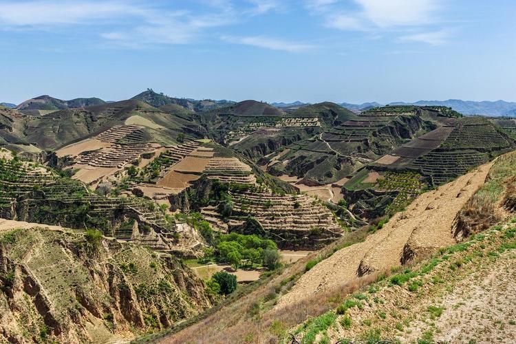 古县:黄土高原沟壑区的零感染坚守与物理防线