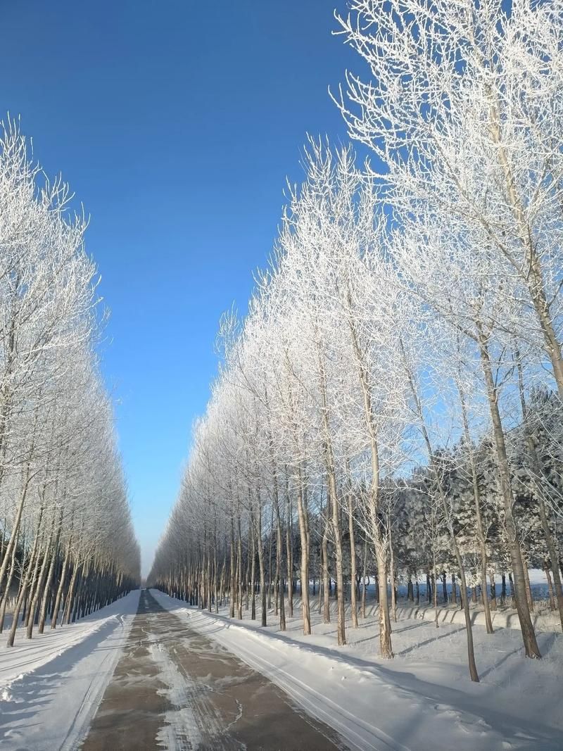 拜泉新增1例无症状感染者 拜泉疫情防控最新通报_18266