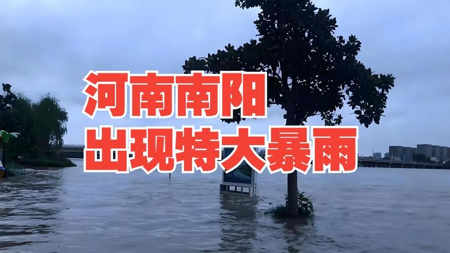 南阳市区疫情：南阳盆地交通枢纽下的防控挑战