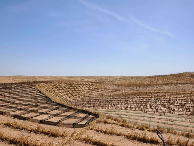 民勤绿洲的防疫坚守：地理屏障下的低感染样本