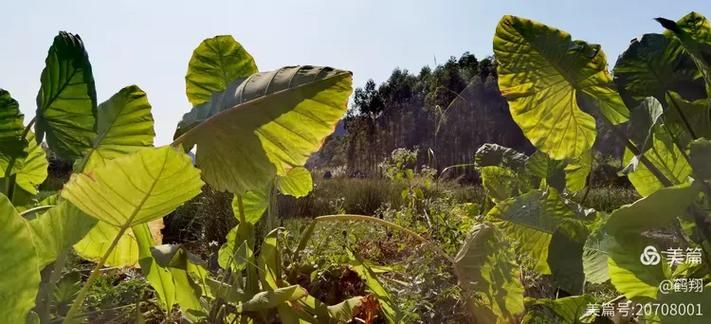 武鸣:喀斯特地貌下的疫情防线与破口