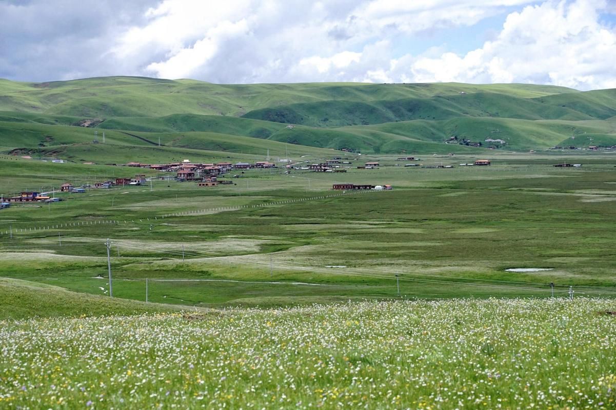 前郭尔罗斯:草原县城的零感染坚守与交通枢纽压力_25282