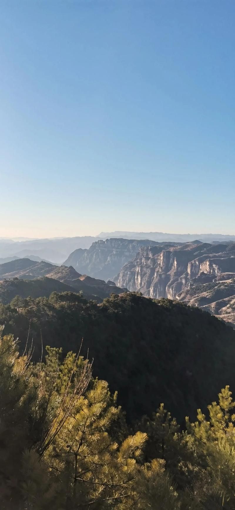 林州：太行屏障下的疫情低发区探因
