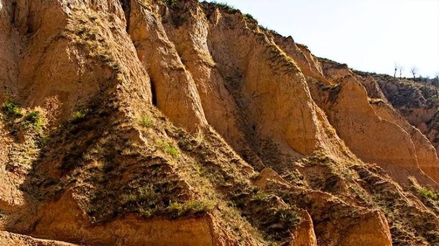 正宁县：黄土高原沟壑间的疫情防线与破防时刻_52401