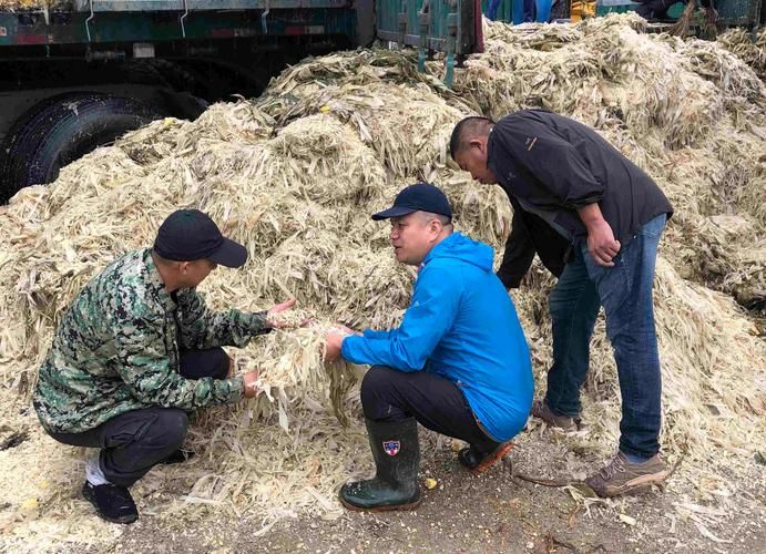 2022年3月15日孙吴县新增确诊病例情况_41086