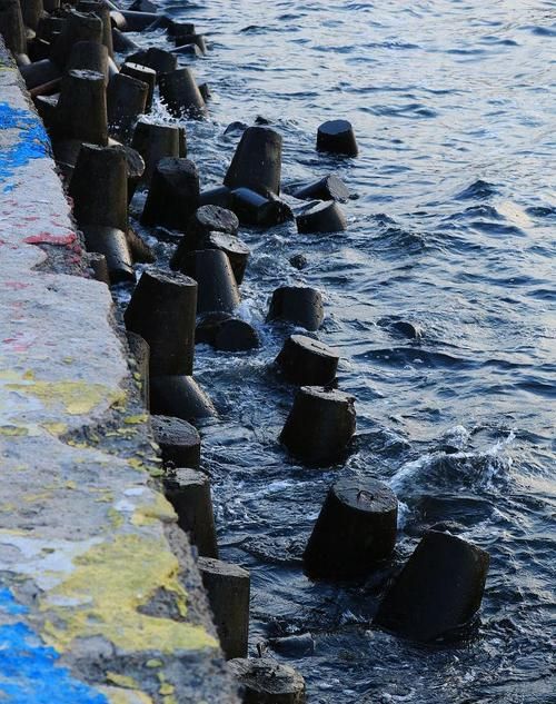 辽源:东北工业小城的疫情防波堤_46034