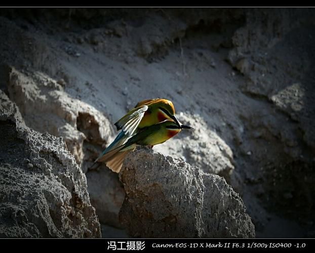 小金：高原河谷的防疫压力测试