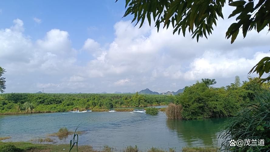 广西来宾：桂中腹地的防疫样本与地理屏障下的挑战