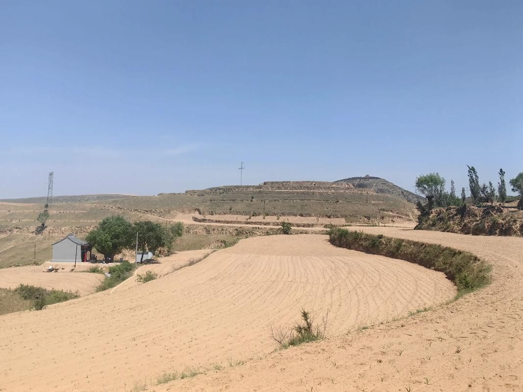 志丹：黄土高原沟壑间的疫情防波堤_69149