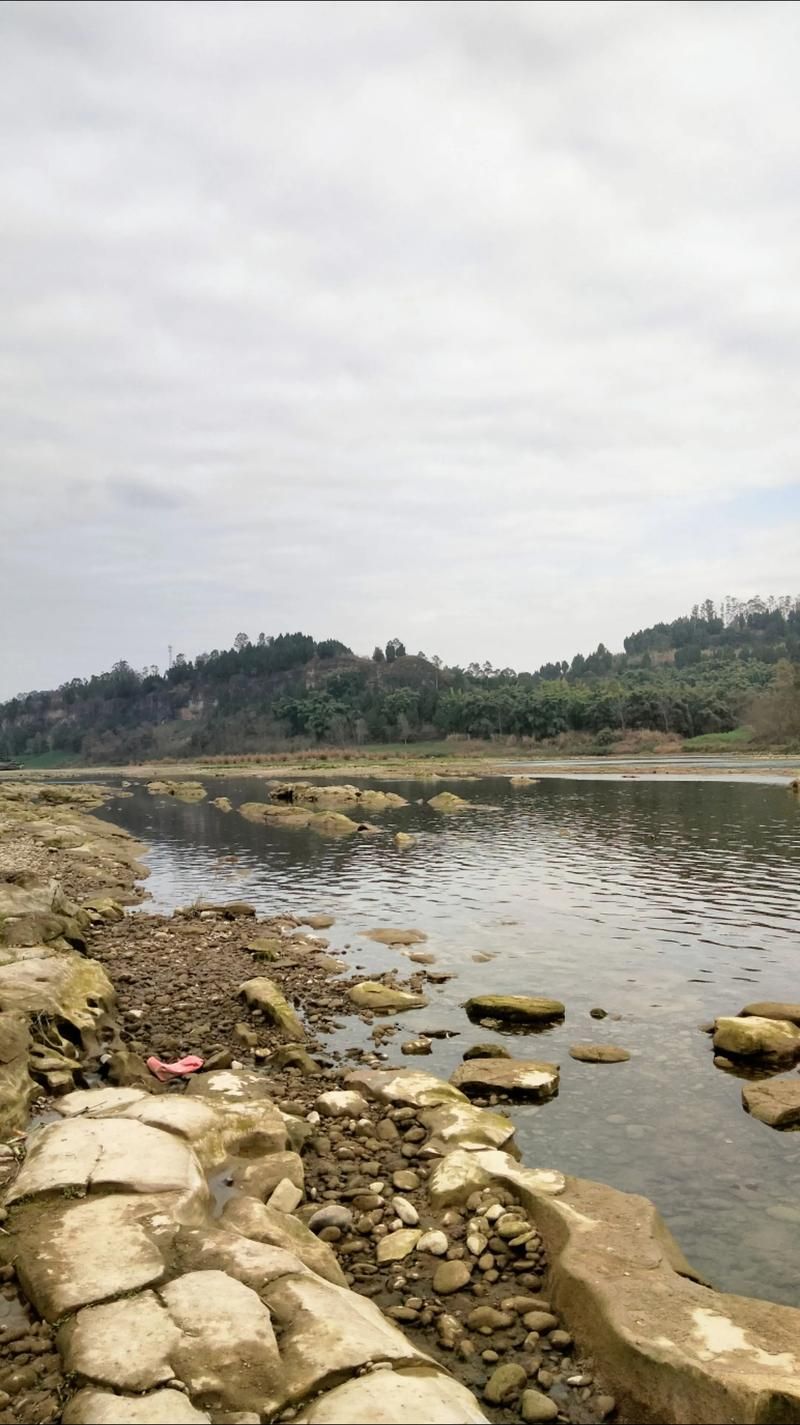 资中县疫情观察：沱江畔的防控坚守与地理屏障