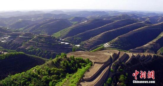 庆城：黄土高原沟壑区如何筑起疫情防线？