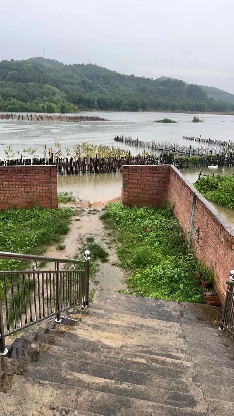 宜春市辖区：赣西生态屏障下的疫情防波堤_49692