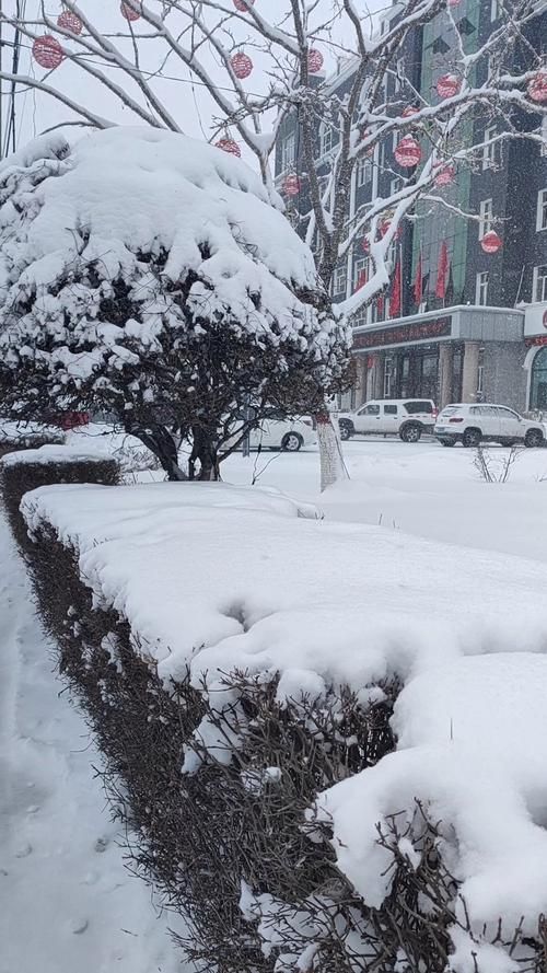 【海林雪原屏障下的零感染坚守：一座东北小城的防疫样本_78687】