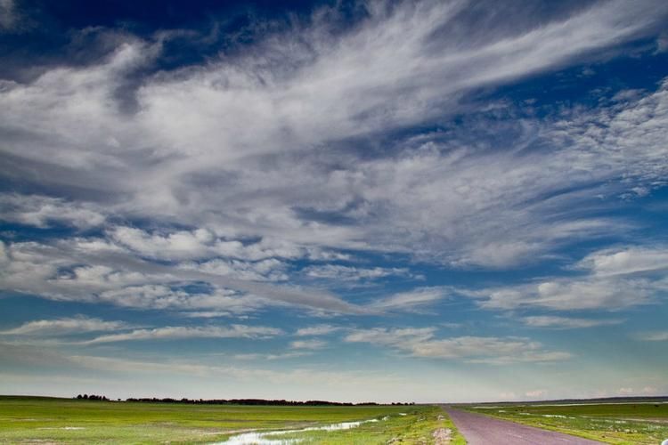 白城：科尔沁草原腹地的零感染坚守_43019