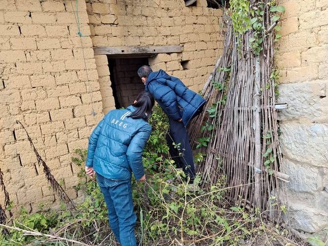 【井研县：川中丘陵间的零感染坚守与物理防线解析】