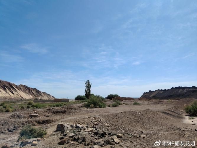 【尼勒克：天山屏障下的零感染坚守_22579】