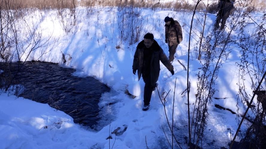 【伊春林海屏障下的零感染坚守：寒温带防疫的地理逻辑_75704】