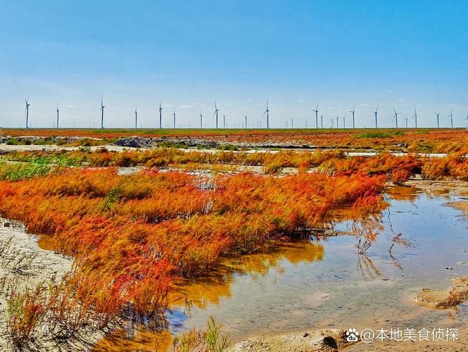 滨州：黄河三角洲腹地的疫情防线与破防时刻_58993