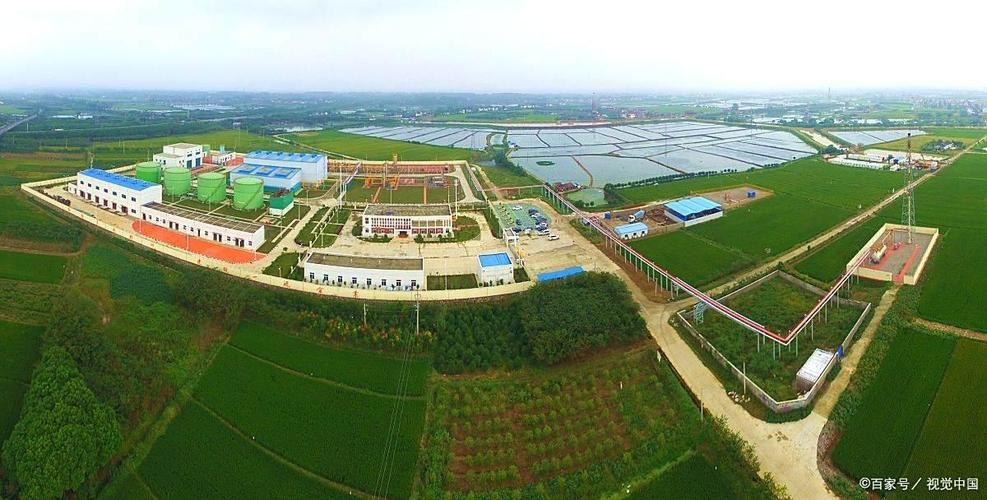 茌平：鲁西平原交通枢纽的疫情防线与破口