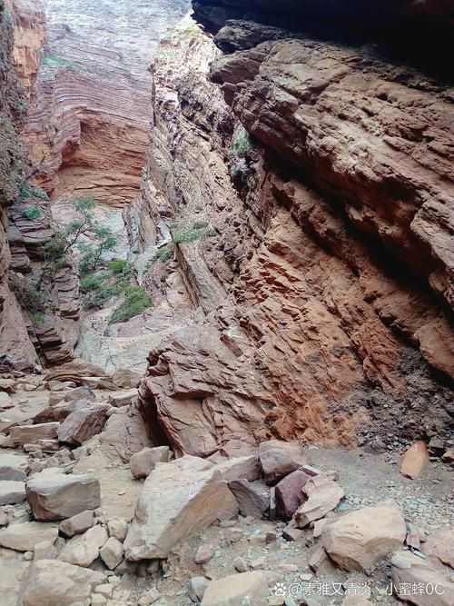 乾县无疫区：关中平原腹地的防疫孤岛现象