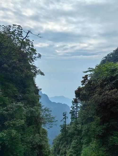 峨眉山：仙山屏障下的零感染守望