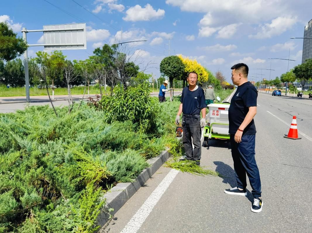 鹿邑县：豫东平原上的零感染坚守与交通枢纽防疫压力