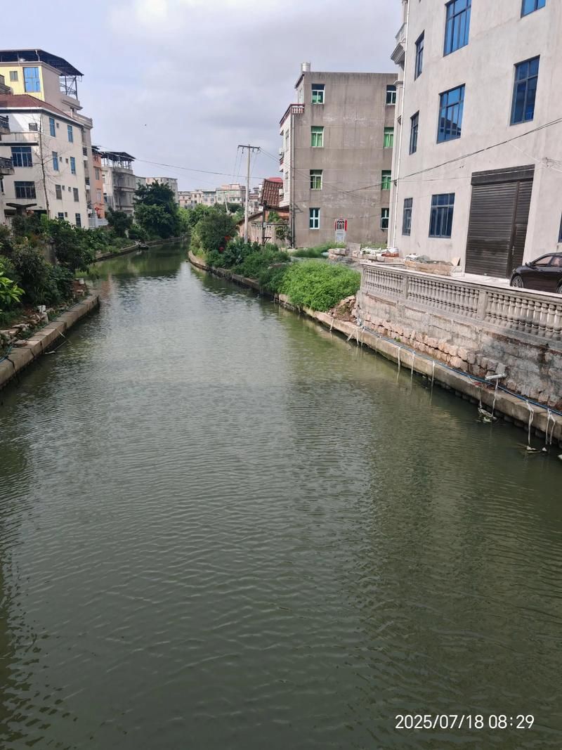 上杭：闽西山区县城的疫情防波堤