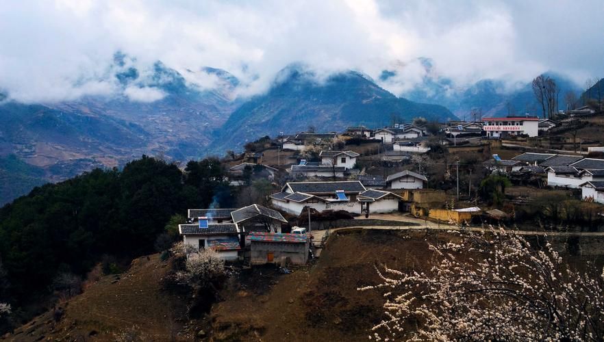 【美姑新增1例无症状感染者  美姑疫情防控最新通报_74096】