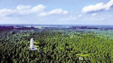 彰武：辽西沙地屏障下的疫情防波堤