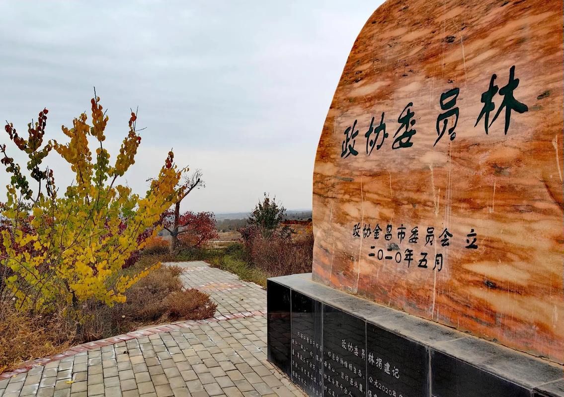 西丰县：辽北林海屏障下的零感染坚守_56642